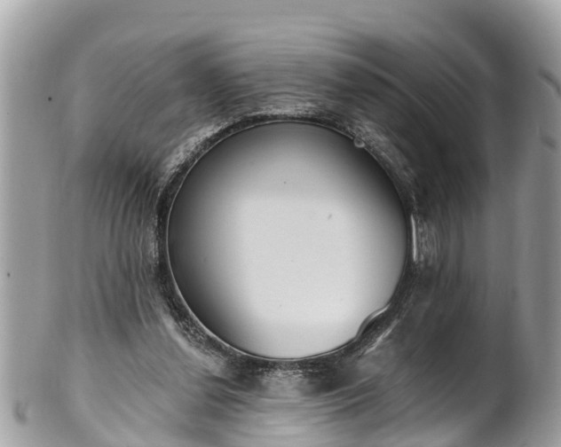 X0000101230252200807071419