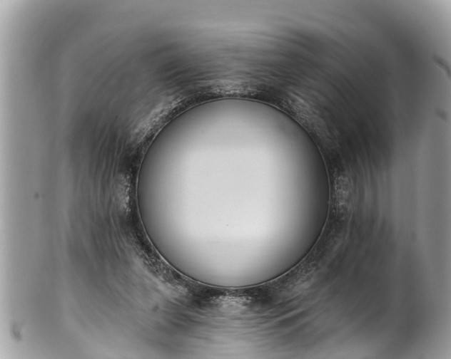 X0000101230255200807071419