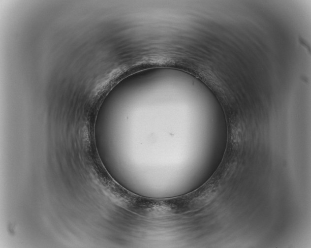 X0000101230256200807071419