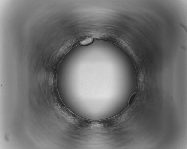 X0000101230257200807071419