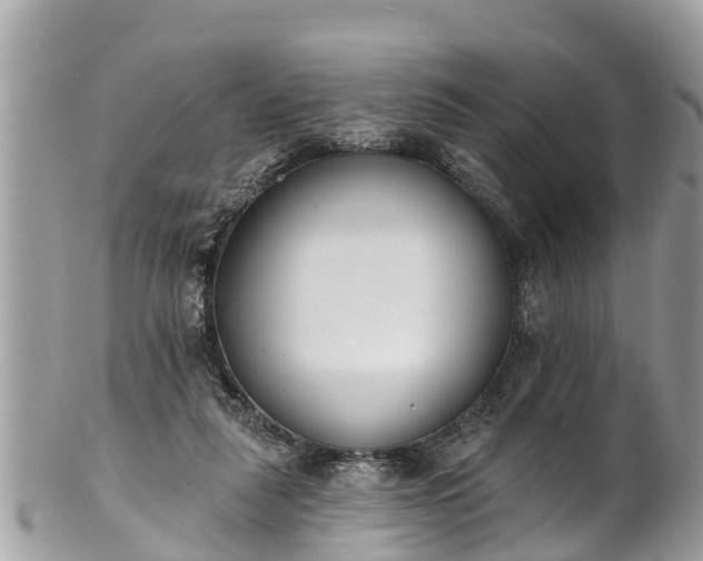 X0000101230259200807071419