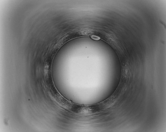 X0000101230263200807071419