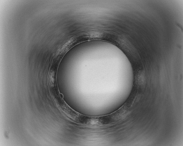 X0000101230264200807071419