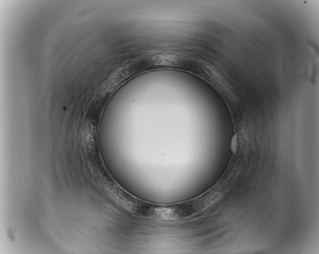 X0000101230265200807071419