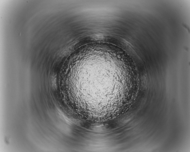 X0000101230267200807071419