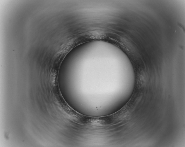 X0000101230268200807071419