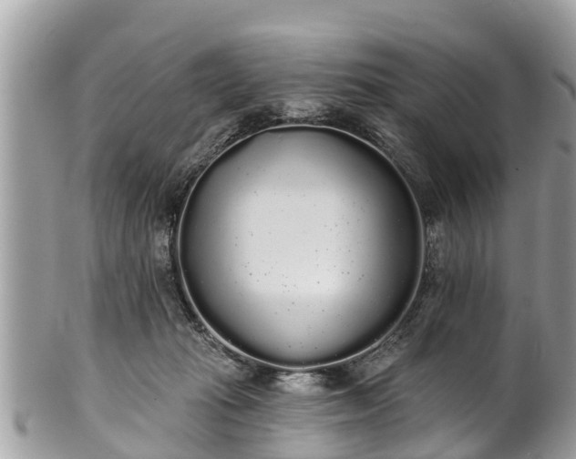 X0000101230269200807071419