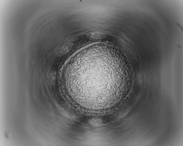 X0000101230271200807071419