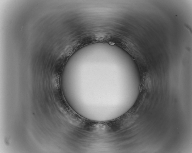 X0000101230272200807071419