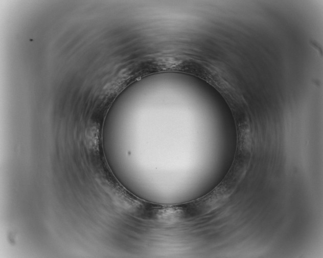 X0000101230274200807071419