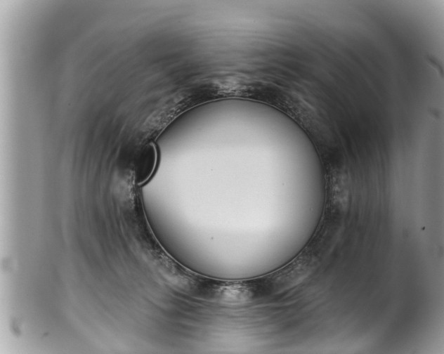 X0000101230275200807071419