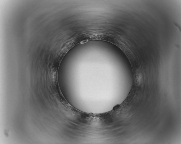 X0000101230276200807071419