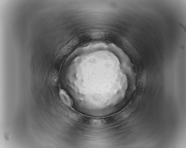 X0000101230277200807071419