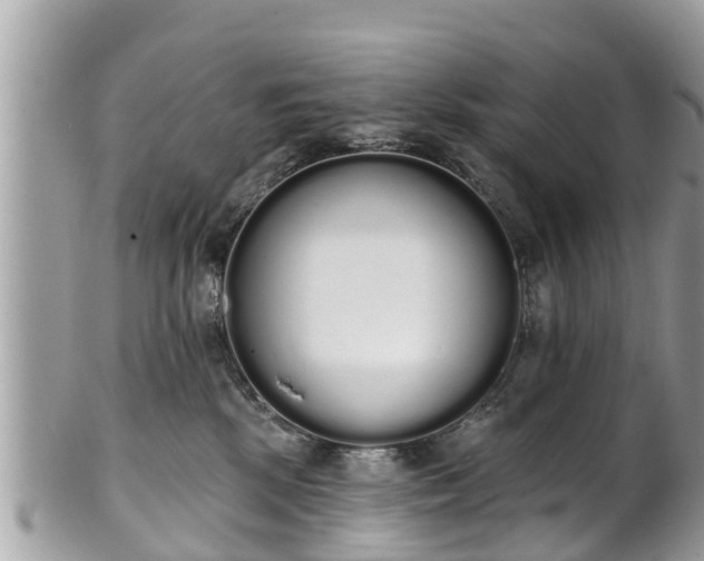 X0000101230281200807071419