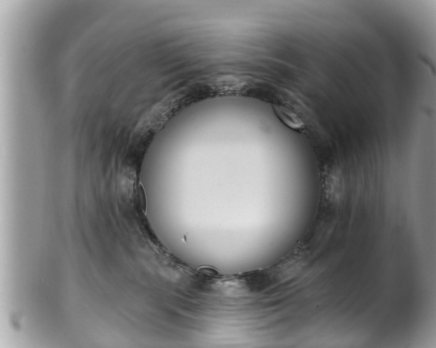 X0000101230283200807071419