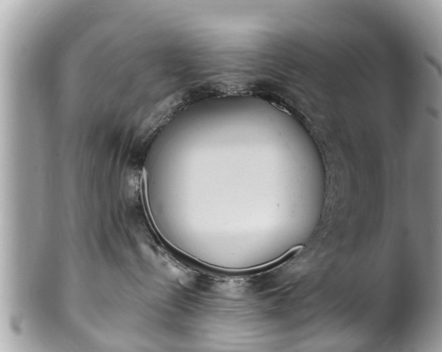 X0000101230288200807071419