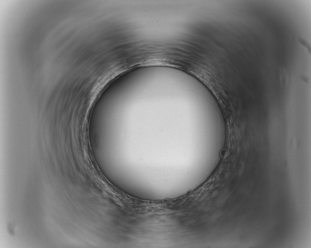 X0000101230289200807071419