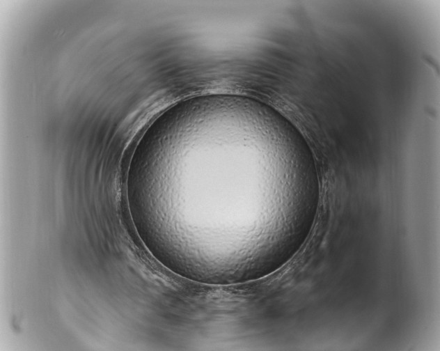 X0000101230290200807071419