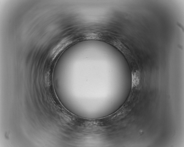 X0000101230291200807071419