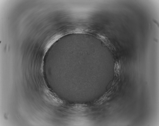 X0000101230292200807071419