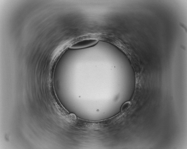 X0000101230293200807071419