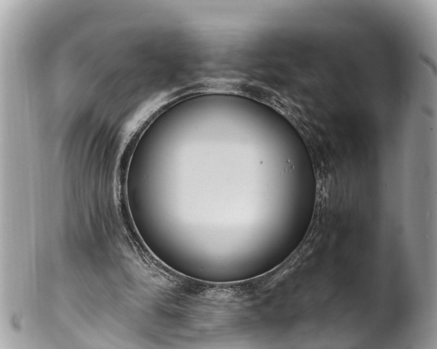 X0000101230294200807071419