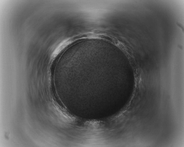 X0000101230295200807071419