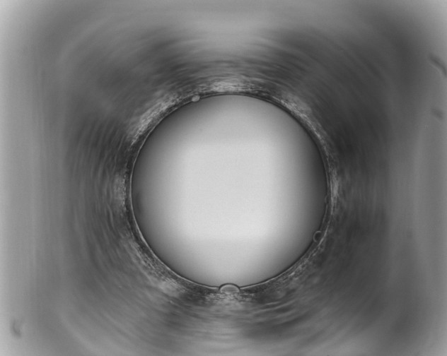 X0000101230297200807071418