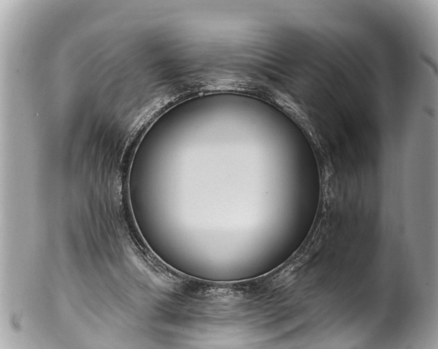 X0000101230298200807071418