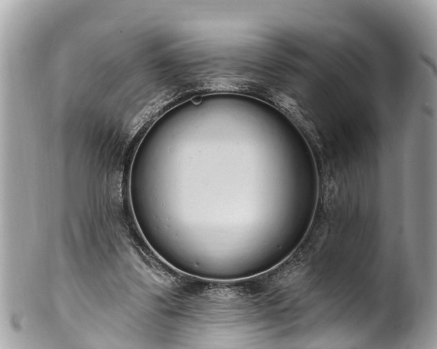 X0000101230299200807071418