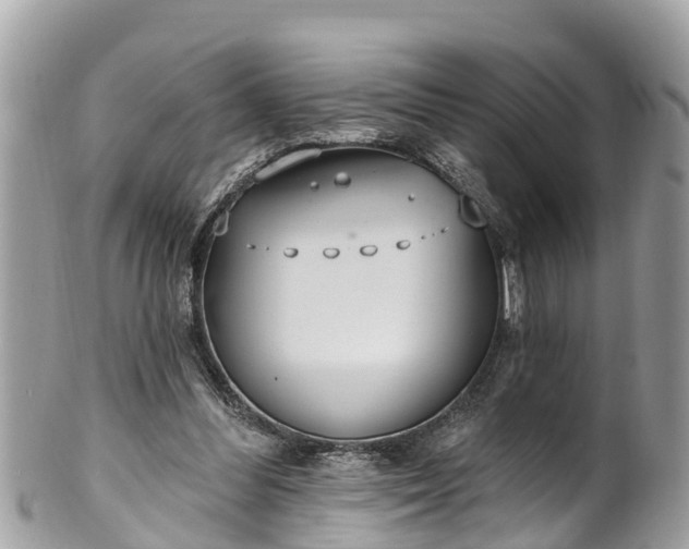 X0000101230300200807071418