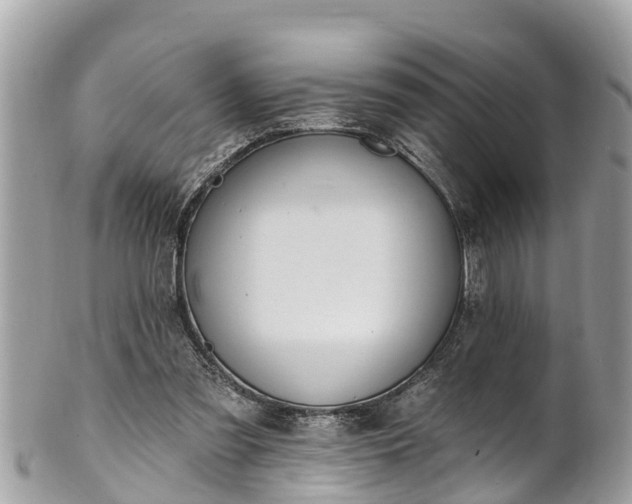 X0000101230301200807071418