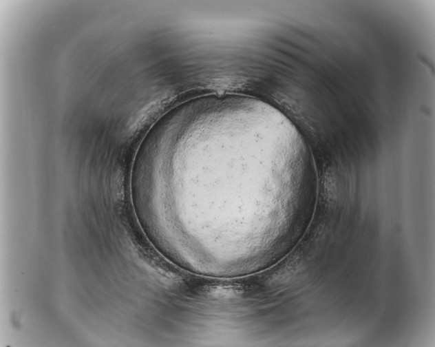 X0000101230303200807071418