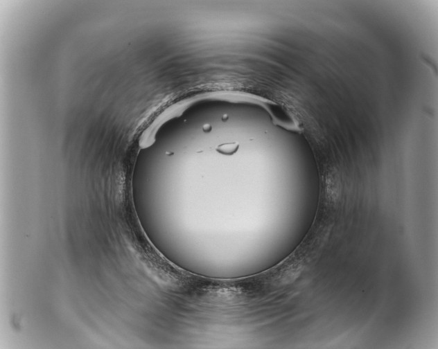 X0000101230304200807071418