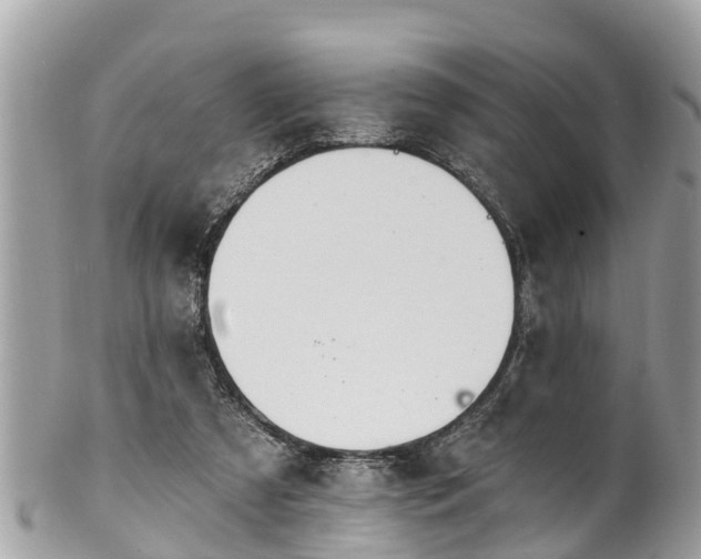 X0000101230305200807071418