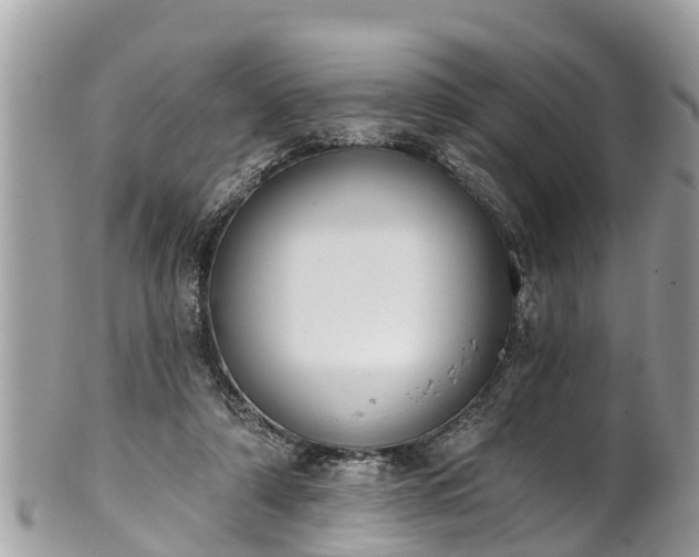 X0000101230306200807071418