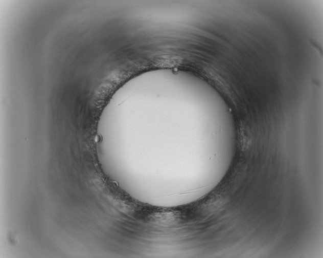 X0000101230307200807071418