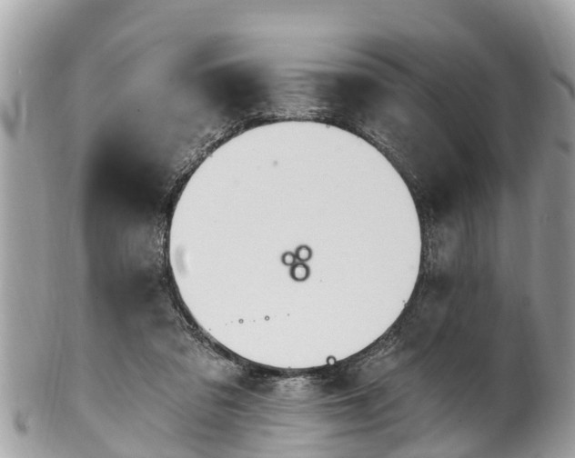 X0000101230309200807071418