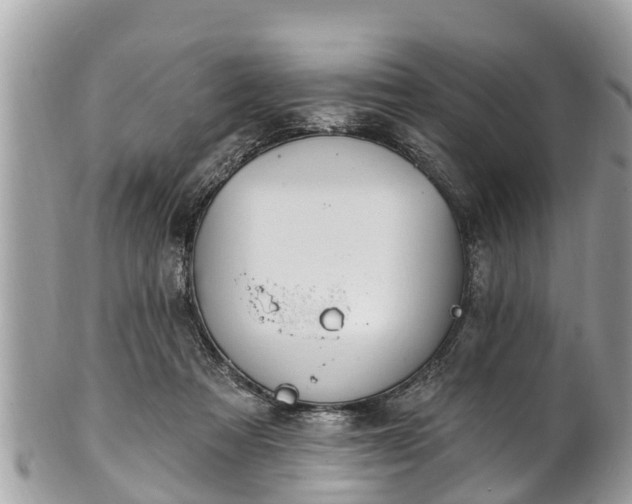 X0000101230313200807071418