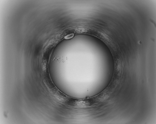 X0000101230315200807071418