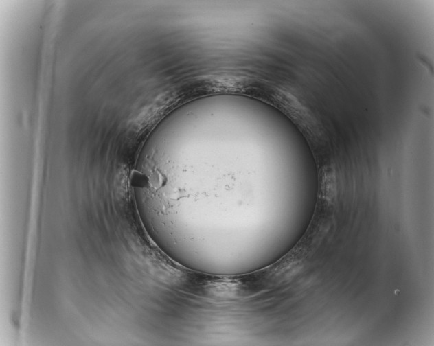 X0000101230318200807071418