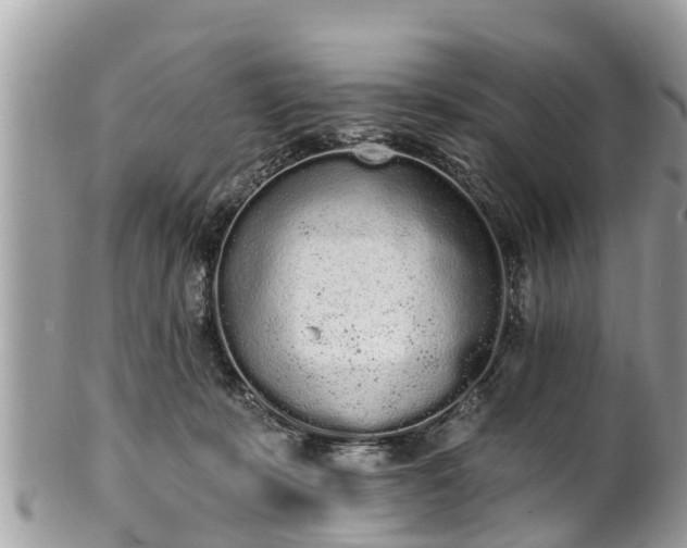 X0000101230319200807071418