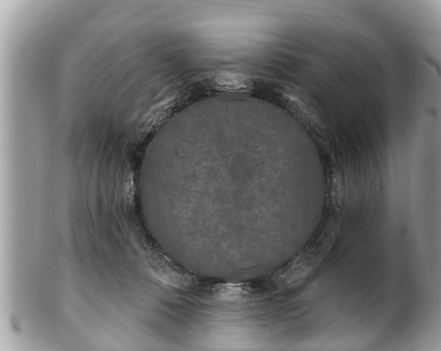 X0000101230320200807071418