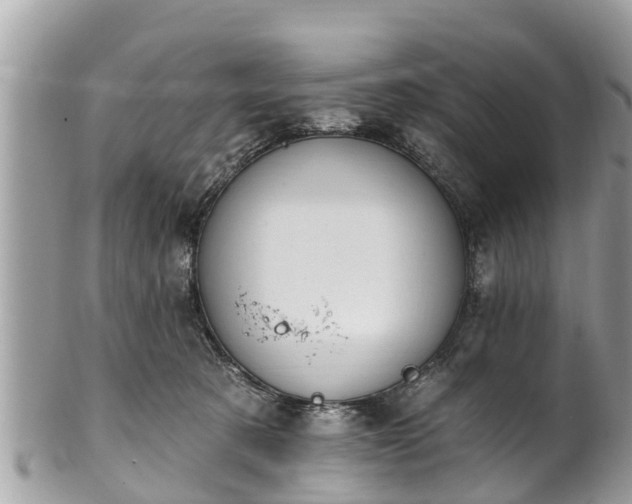 X0000101230321200807071418