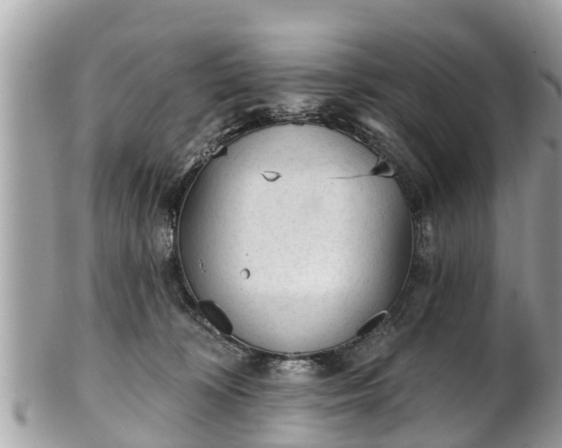 X0000101230324200807071418