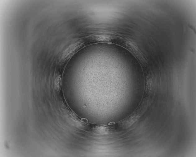 X0000101230325200807071418