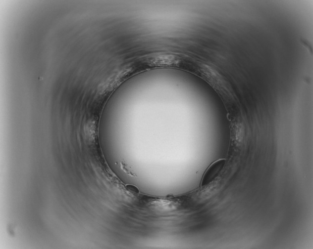 X0000101230326200807071418