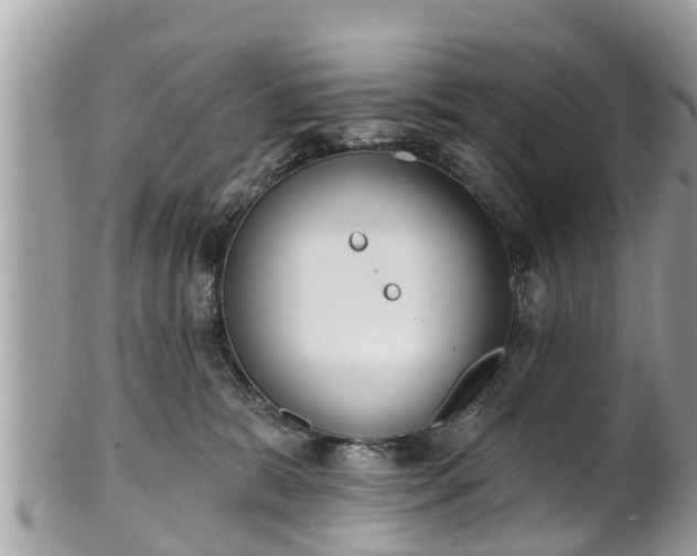 X0000101230327200807071418