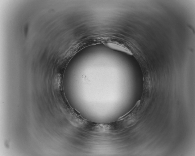 X0000101230328200807071418