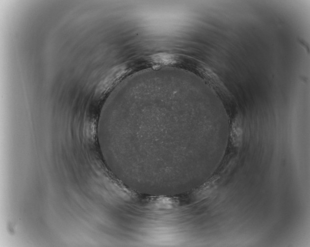 X0000101230330200807071418